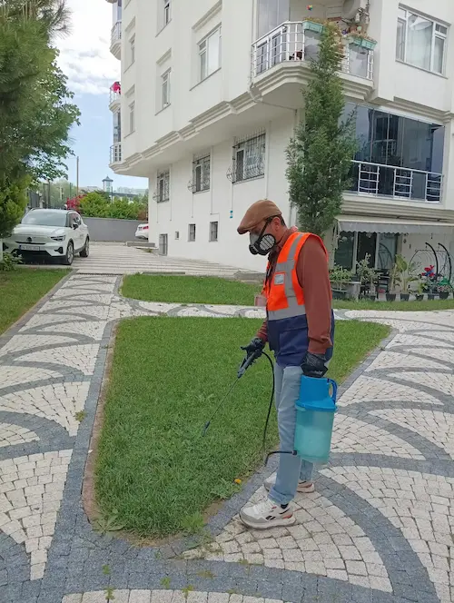 Arka Plan Görseli